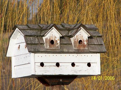 One of the many swallow houses in and around Woodland Pit